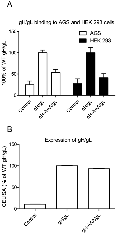 FIG 2 