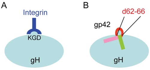 FIG 6 