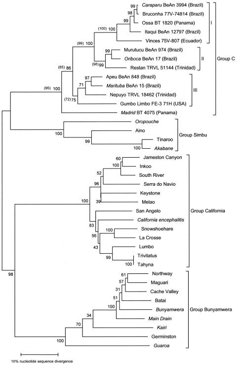 FIG. 1.