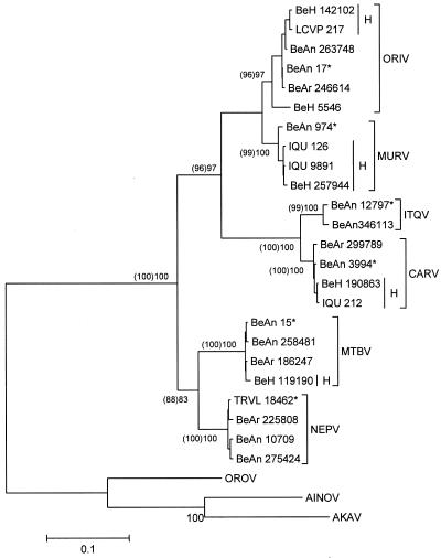 FIG. 2.