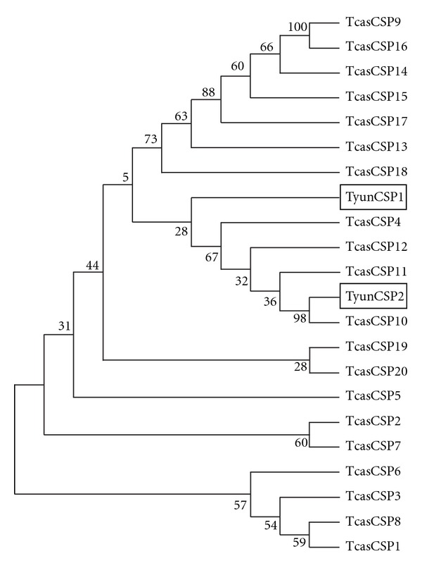 Figure 7