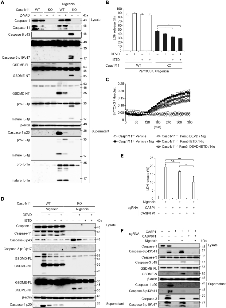 Figure 5