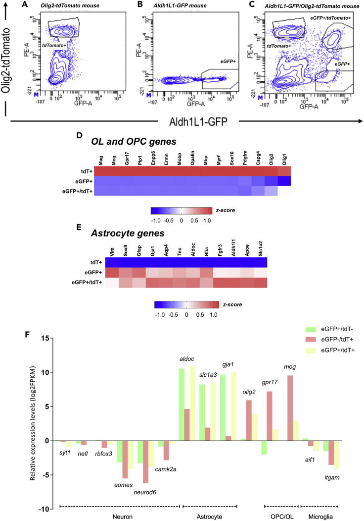 Figure 2