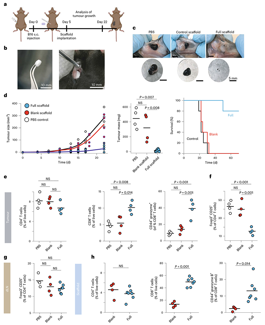 Fig. 4 |