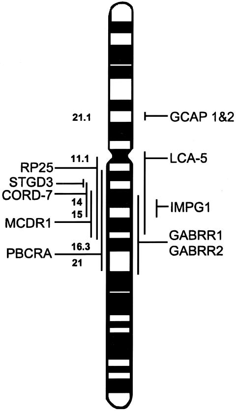 Figure  3