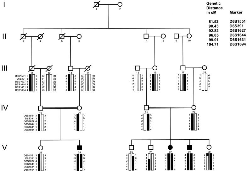 Figure  1