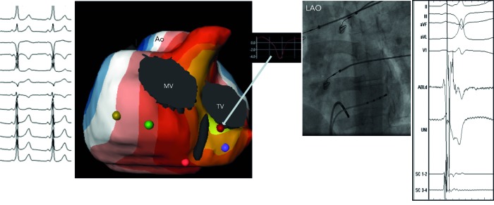 Figure 7: