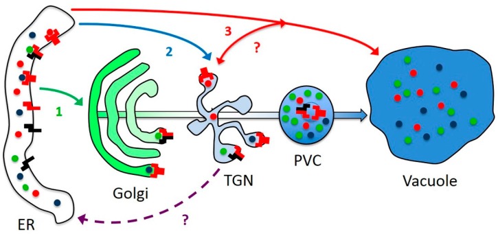 Figure 10