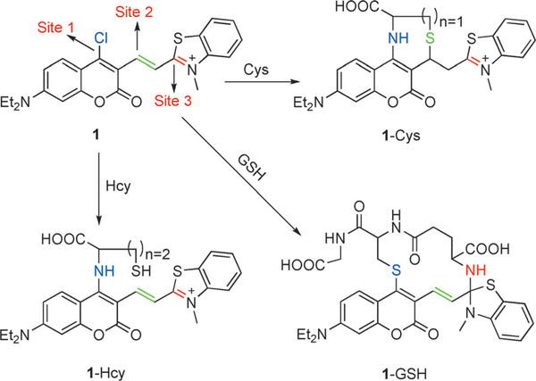 Figure 3.