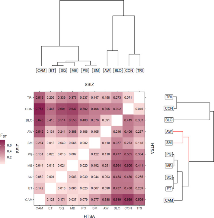 FIGURE 6