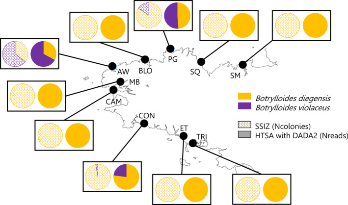 FIGURE 3