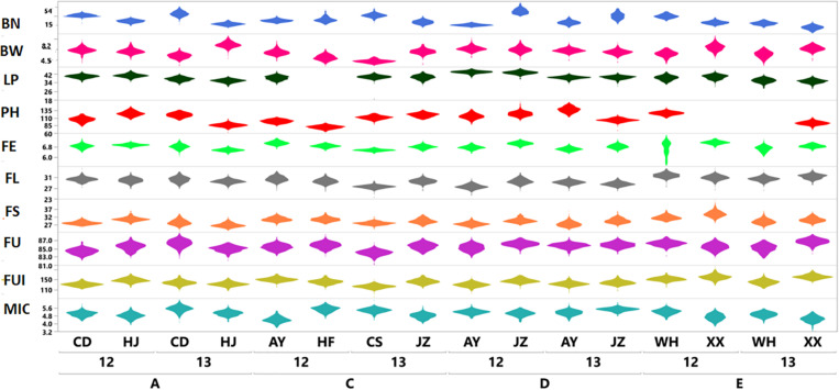 FIGURE 1