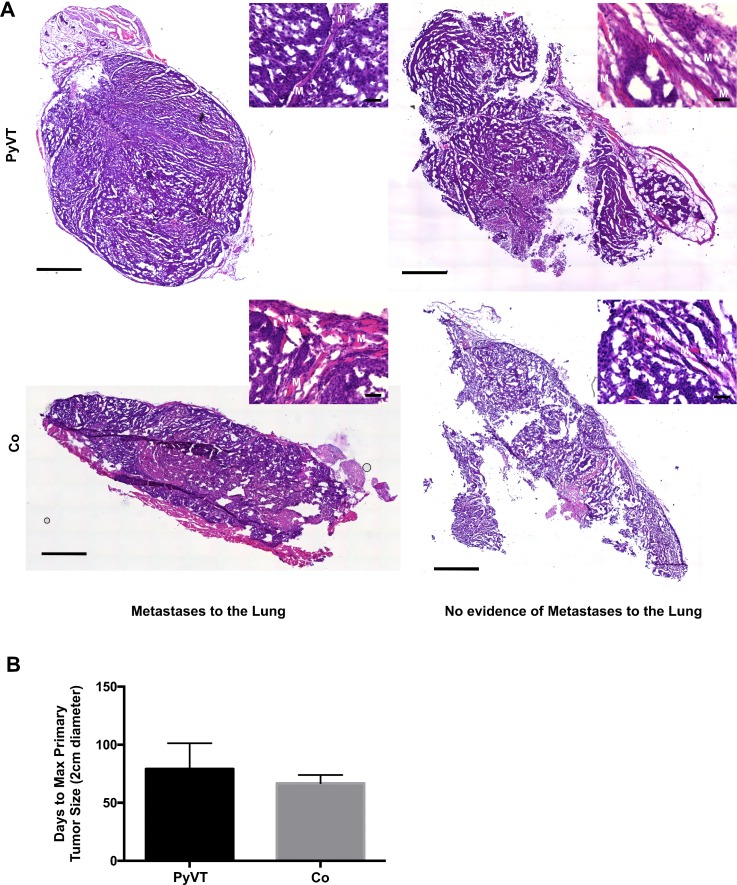 FIG. 8.