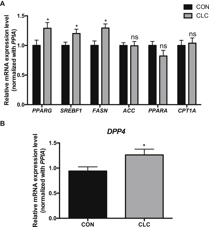 Figure 6