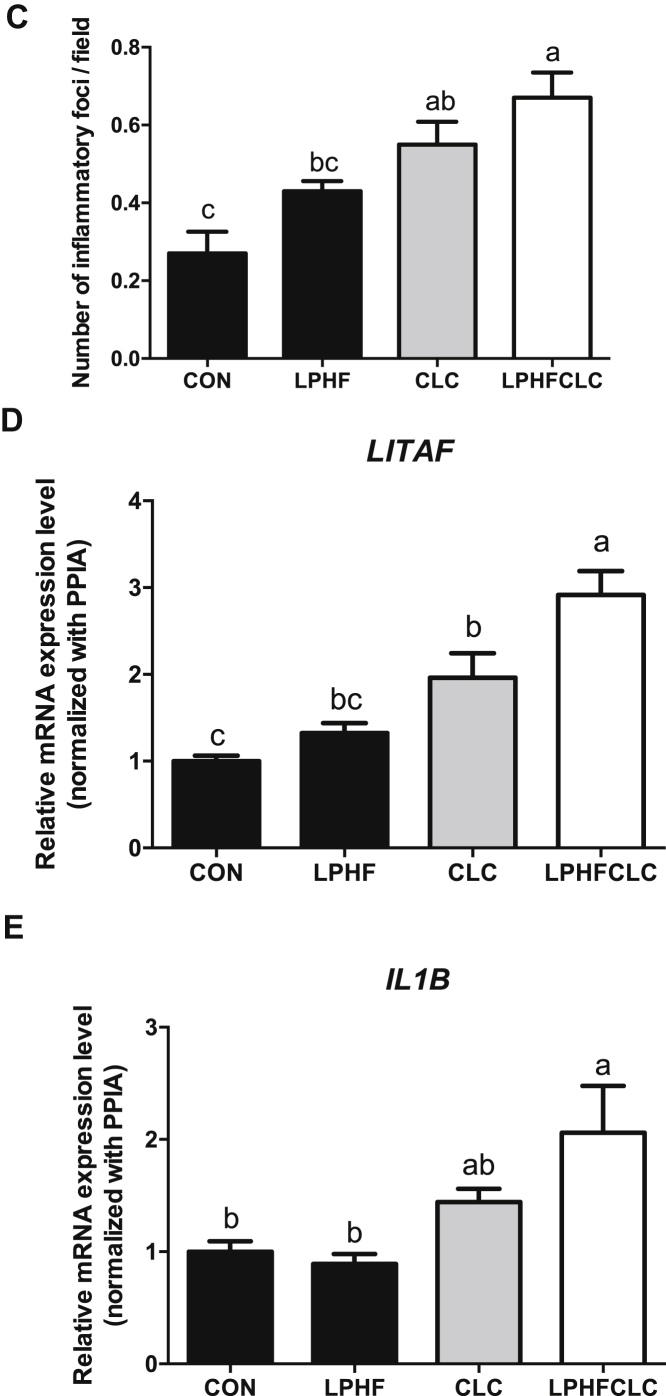 Figure 4