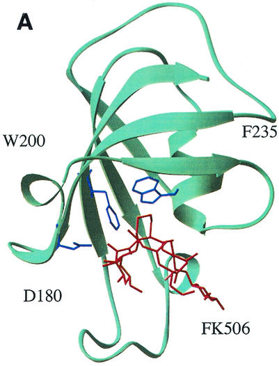 FIG. 1.