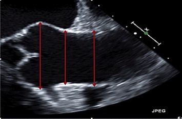 Fig. 8