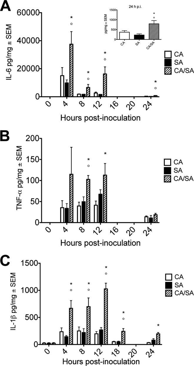 FIG 3