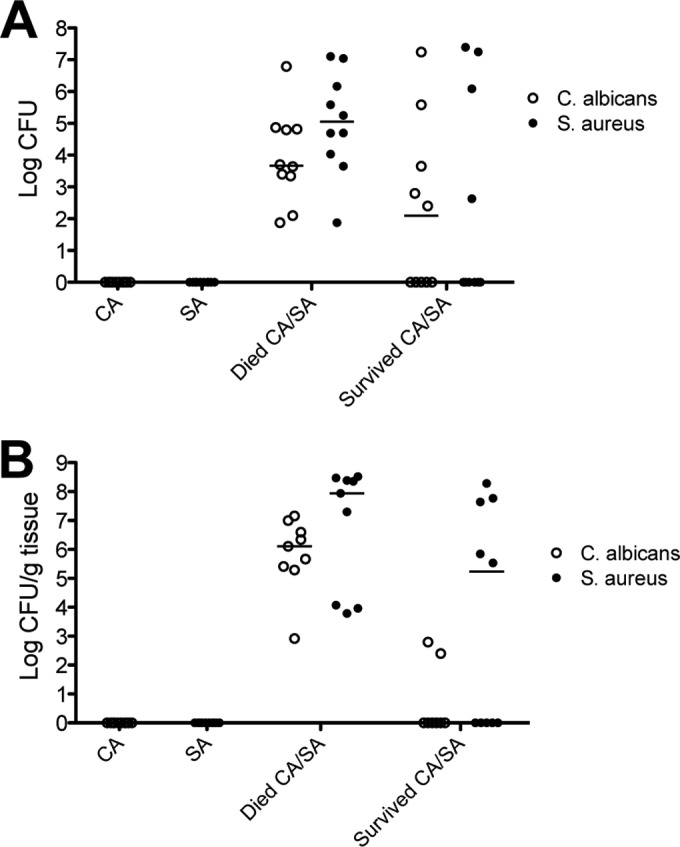 FIG 2