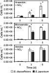 Fig. 2.