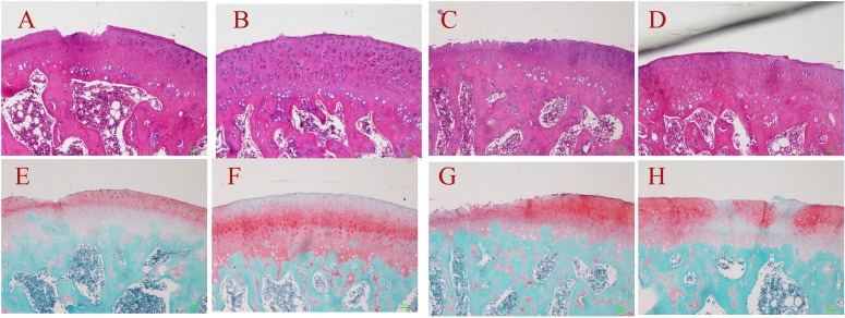 Fig 4