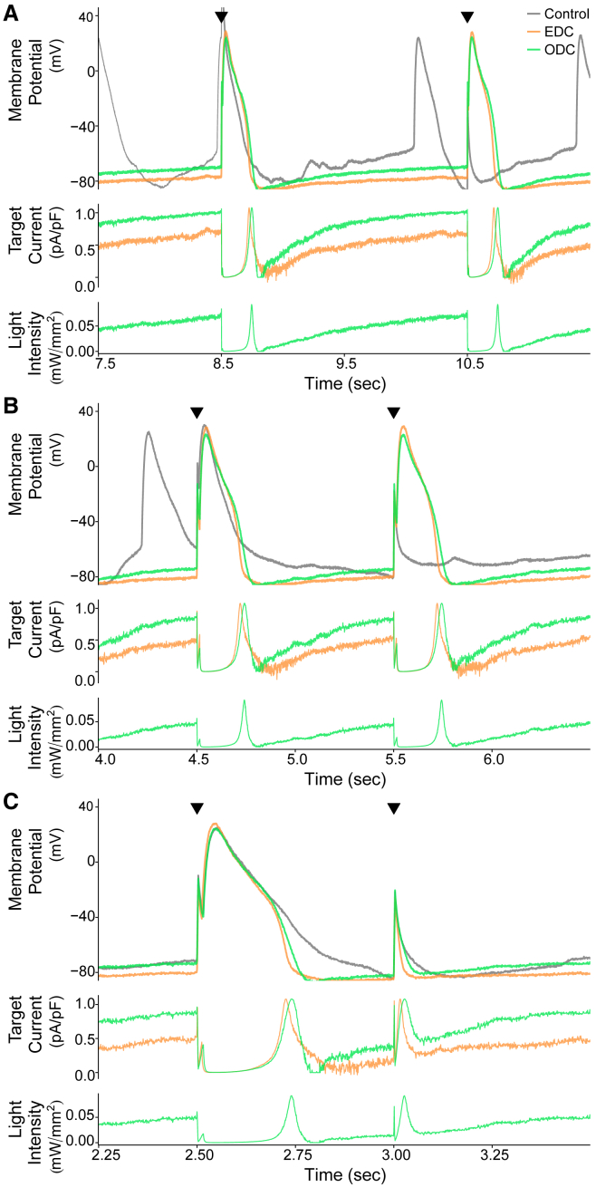 Figure 4