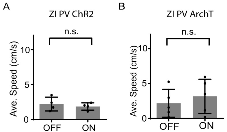 Figure 3—figure supplement 2.