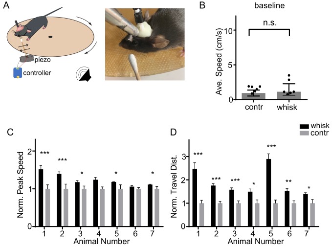 Figure 1—figure supplement 1.