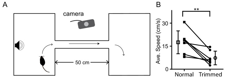 Figure 1—figure supplement 2.