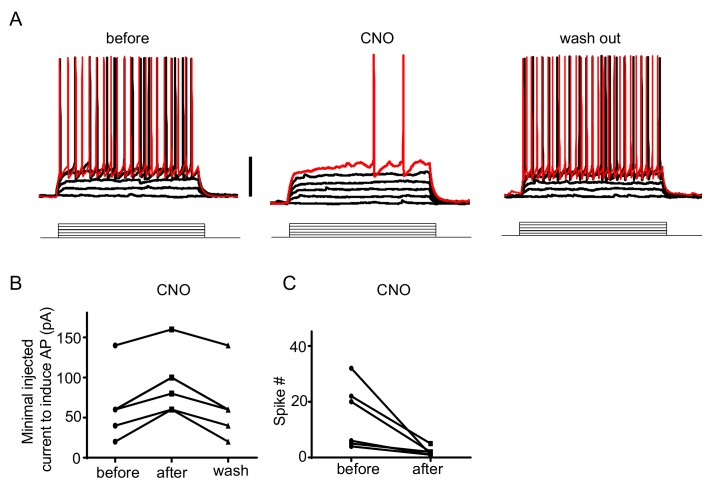 Figure 3—figure supplement 3.