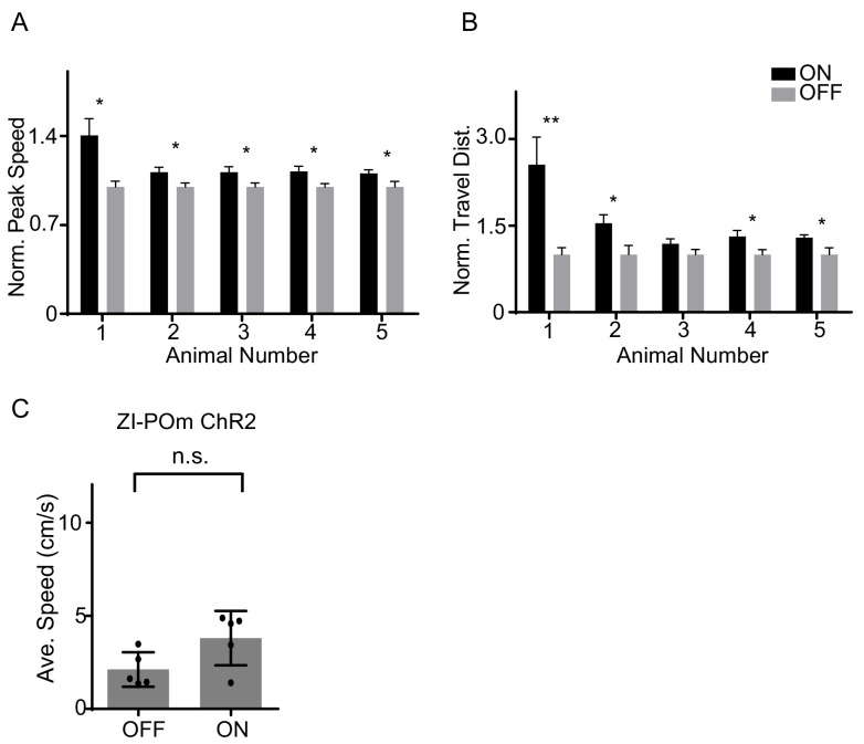 Figure 4—figure supplement 2.