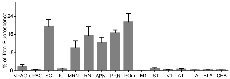 Figure 4—figure supplement 1.