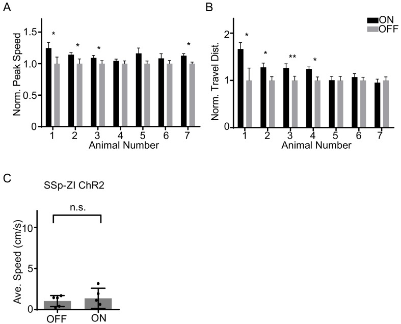 Figure 2—figure supplement 1.