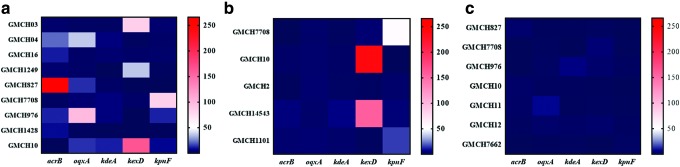 FIG. 2.