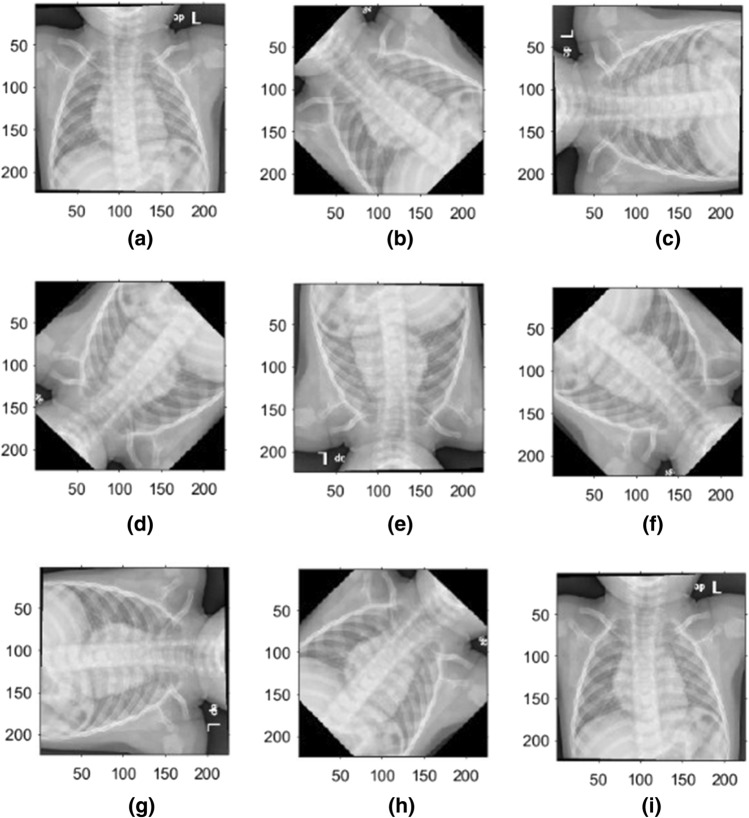 Fig. 8