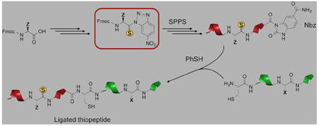 REACTION SCHEME