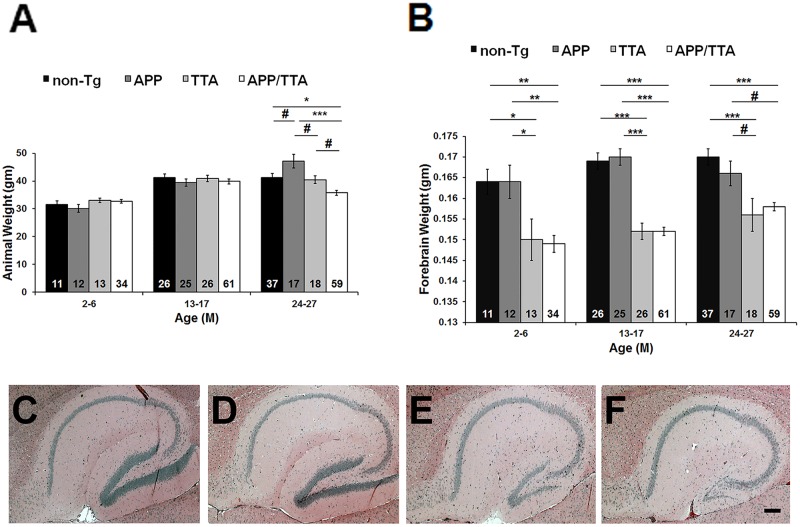 Fig 8