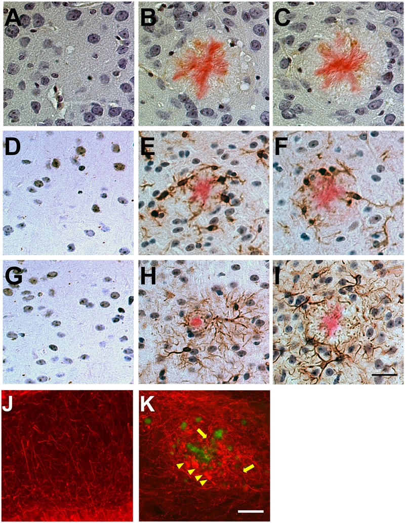 Fig 9