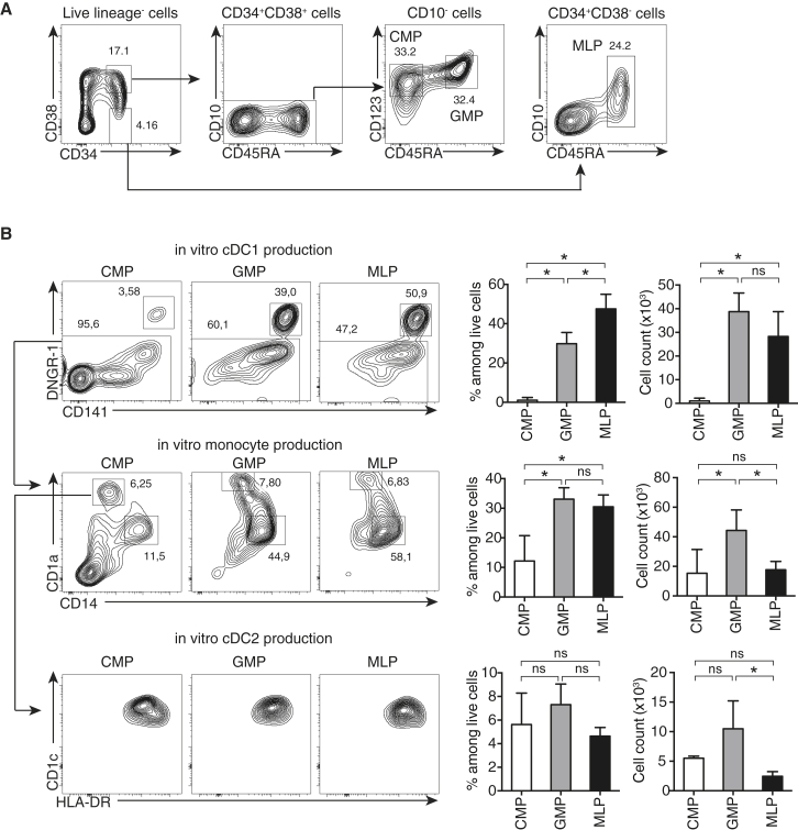 Figure 1