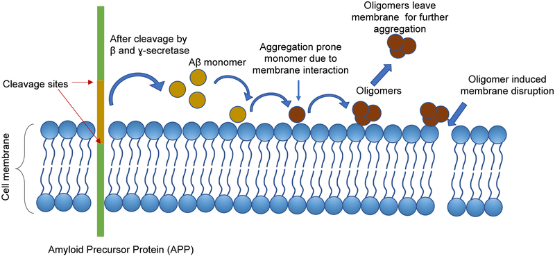 Figure 1: