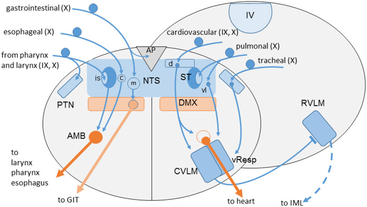 Fig. 5: