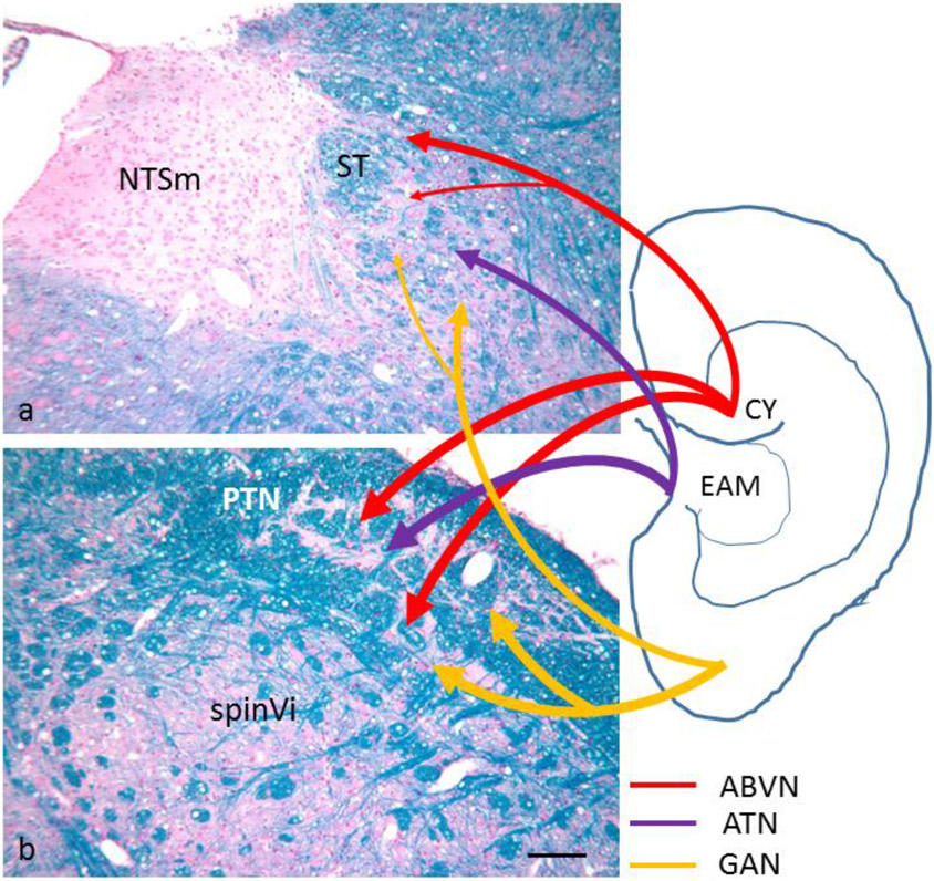 Fig. 6: