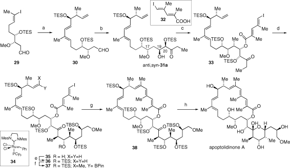 Scheme 6