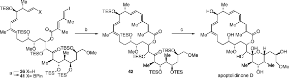 Scheme 8