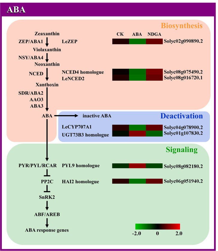 Fig 3