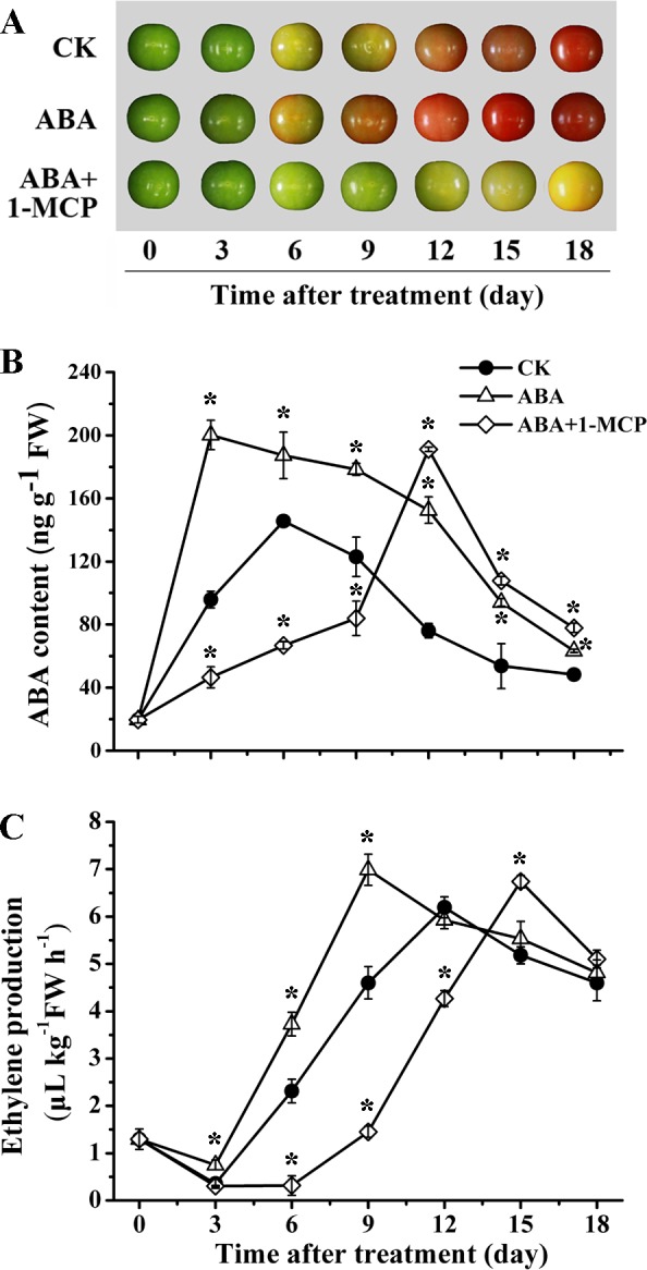 Fig 7