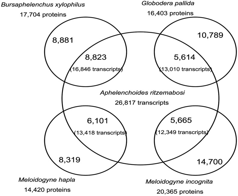 Fig 4