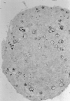 FIG. 19