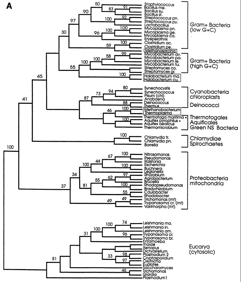 FIG. 10