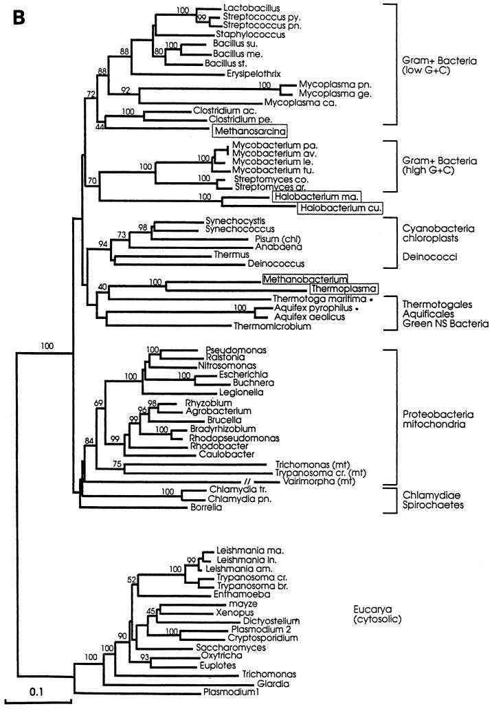 FIG. 10